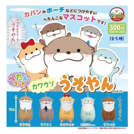 2A244『現貨』扁扁可愛水獺吊飾 AMUSE 扭蛋 轉蛋 