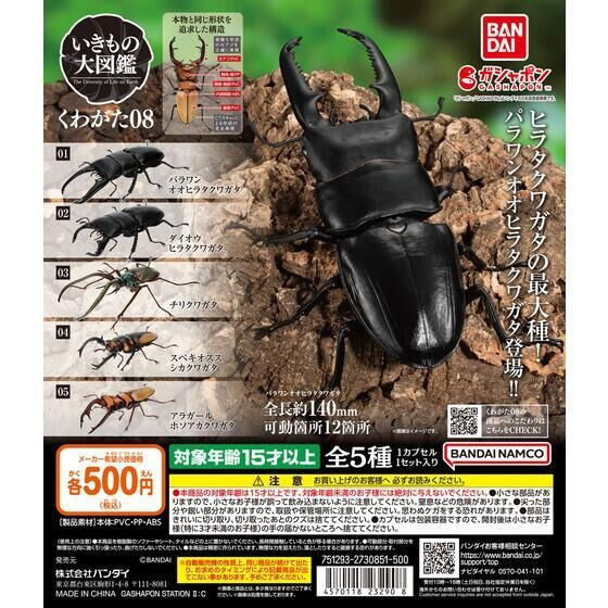 2A983『現貨』生物大圖鑑-鍬形蟲篇08 BANDAI 扭蛋 轉蛋 