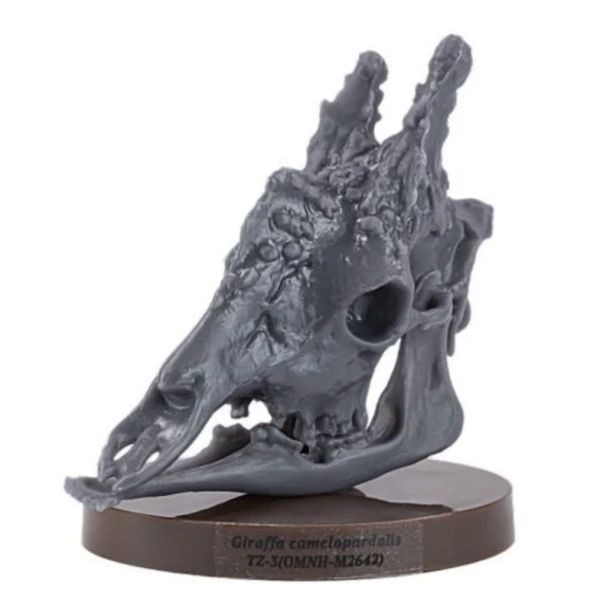 2A680『現貨』路上博物館特別展-植食性動物 SO-TA 扭蛋 轉蛋 