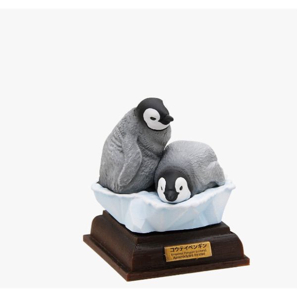 1A266『現貨』NTC圖鑑-南極大陸生命紀行 特別篇 IKIMON 扭蛋 轉蛋 