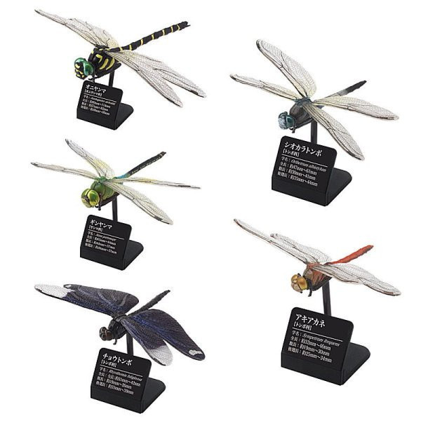1A54『現貨』原色圖鑑系列-日本蜻蜓 扭蛋 轉蛋 