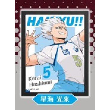 5A785『現貨』排球少年海報燈箱sideB  Standstones  扭蛋   轉蛋 