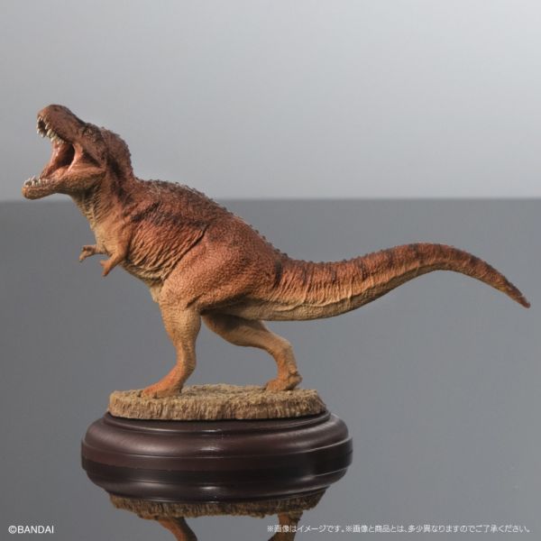 2A974『現貨』生物大圖鑑展示模型-恐龍P2 BANDAI Premium 扭蛋 轉蛋 