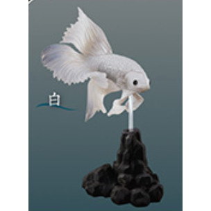 1A994『現貨』鬥魚~Betta~ Standstones 扭蛋 轉蛋 