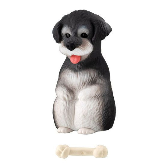 3A666『現貨』等一下狗狗P2 BANDAI 扭蛋 轉蛋 