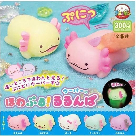 5A341『現貨』捏捏蓄光蠑螈公仔  AMUSE 扭蛋   轉蛋 