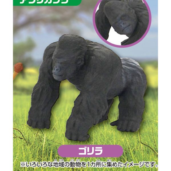 3A323『現貨』多美動物園超喜歡的動物世界 T-ARTS 扭蛋 轉蛋 