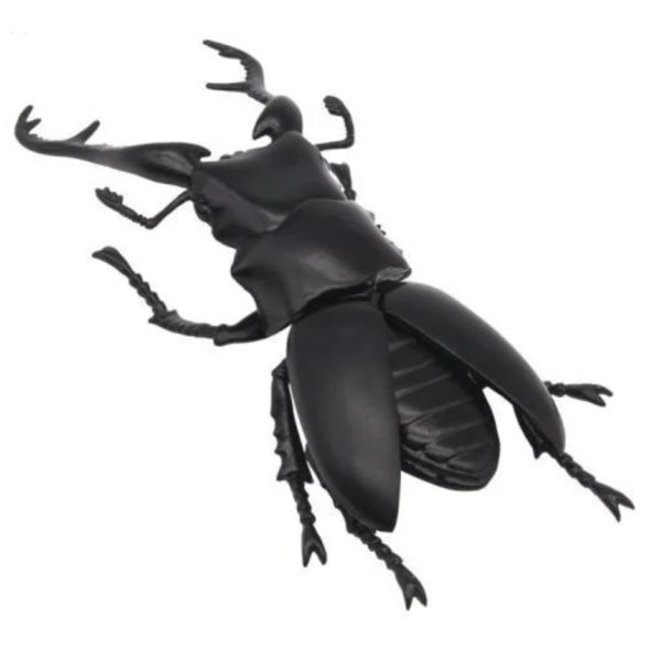 2A623『現貨』可動生物模型-昆蟲之森 怪音波之謎 T-ARTS 扭蛋 轉蛋 