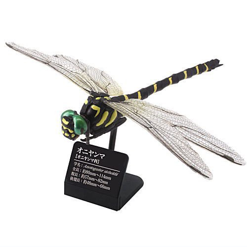 1A54『現貨』原色圖鑑系列-日本蜻蜓 扭蛋 轉蛋 