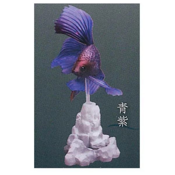 3A005『現貨』鬥魚~Betta~貳 Standstones 扭蛋 轉蛋 