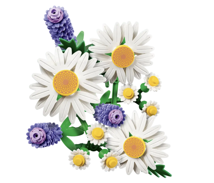 『現貨』LEGO 11508 Botanicals 雛菊 盒組 