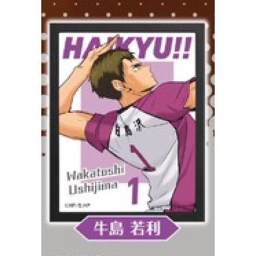 5A784『現貨』排球少年海報燈箱sideA  Standstones  扭蛋   轉蛋 