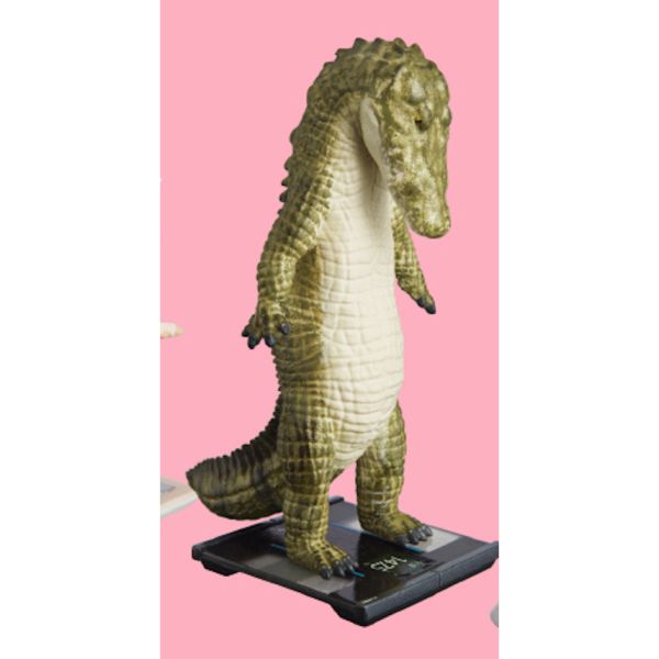 2A912『現貨』站上TANITA 體重計的動物們P2 T-ARTS 扭蛋 轉蛋 