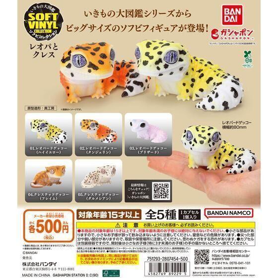 5A215『現貨』生物大圖鑑公仔-豹紋壁虎與睫角守宮 BANDAI 扭蛋 轉蛋 