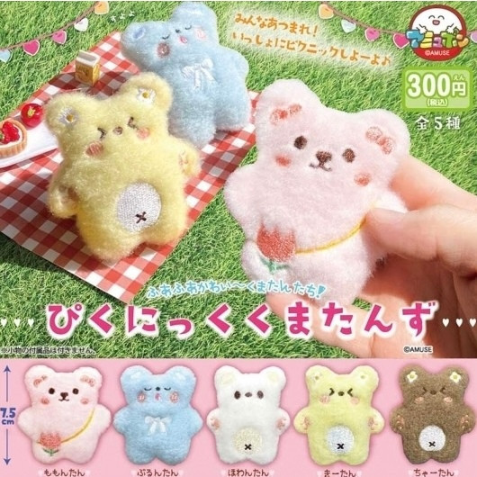 3A087『現貨』野餐小熊毛絨玩偶 AMUSE 扭蛋 轉蛋 