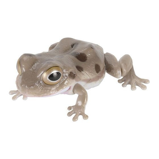 3A188『現貨』生物大圖鑑-日本雨蛙 BANDAI 扭蛋 轉蛋 