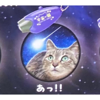 2A726『現貨』宇宙貓投影燈 YELL 扭蛋 轉蛋 