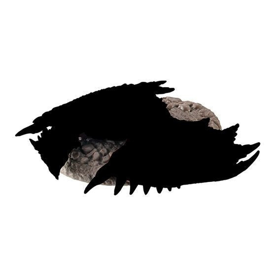 3A283『現貨』捕獲魔物獵人公仔P2 BANDAI 扭蛋 轉蛋 