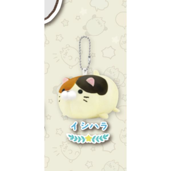 2A85『現貨』貓咪高峰會玩偶吊飾 ULTRA NEW PLANNING 扭蛋 轉蛋 