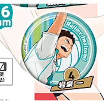 5A288『現貨』排球少年角色閃亮徽章-sideB  Standstones  扭蛋   轉蛋 