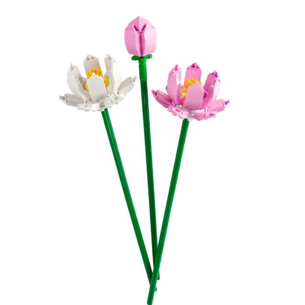『現貨』LEGO 40647 LEL Flowers-蓮花 盒組 