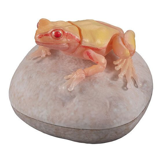 2A594『現貨』生物大圖鑑進擊-日本雨蛙P2 Bandai 扭蛋 轉蛋 