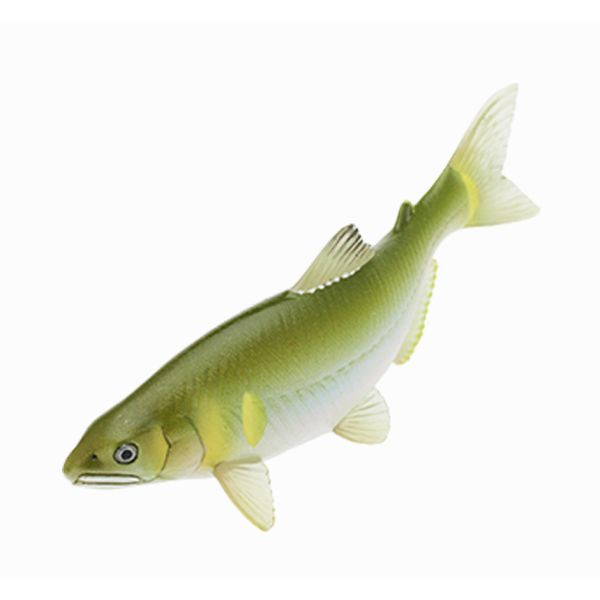 4A520『現貨』NOJ-日本的生物P3 IKIMON 扭蛋 轉蛋 