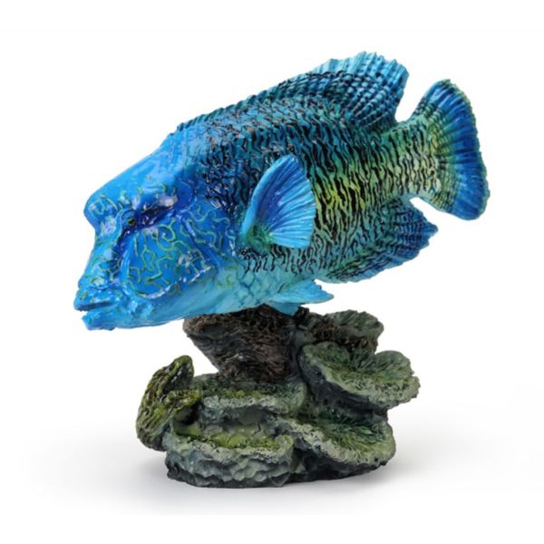 4A745『現貨』生物大圖鑑-珊瑚礁生物 BANDAI 扭蛋 轉蛋 