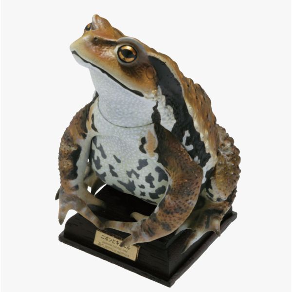 2A807『現貨』NTC圖鑑-日本蛙 特裝版 IKIMON 扭蛋 轉蛋 