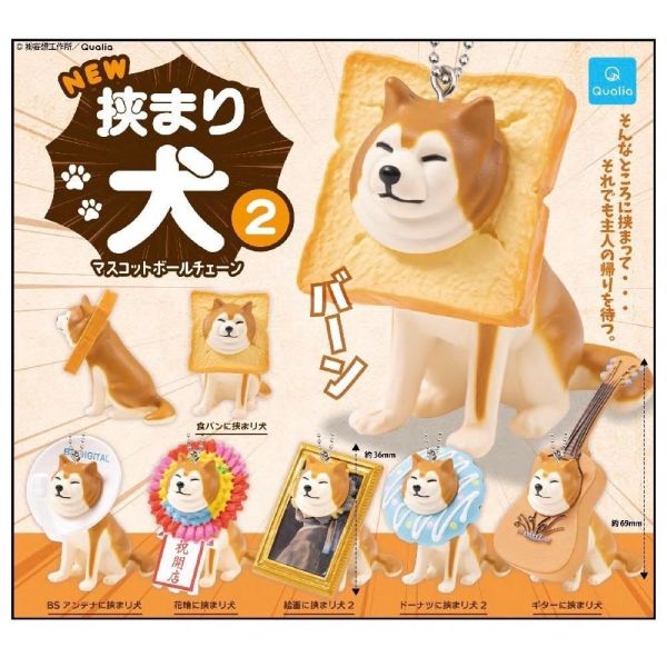 『預購』6月 卡頭柴犬珠鍊吊飾P2 NEW  Qualia  扭蛋   轉蛋 