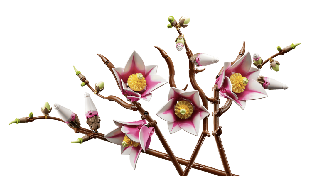 『現貨』LEGO 11510 Botanicals-木蘭枝 盒組 