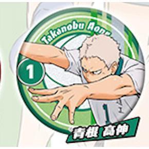 5A288『現貨』排球少年角色閃亮徽章-sideB  Standstones  扭蛋   轉蛋 