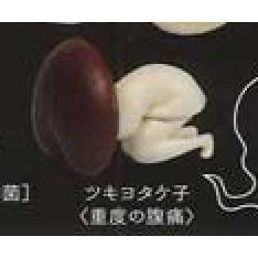 5A440『現貨』中毒蘑菇    Shine-G   扭蛋   轉蛋 