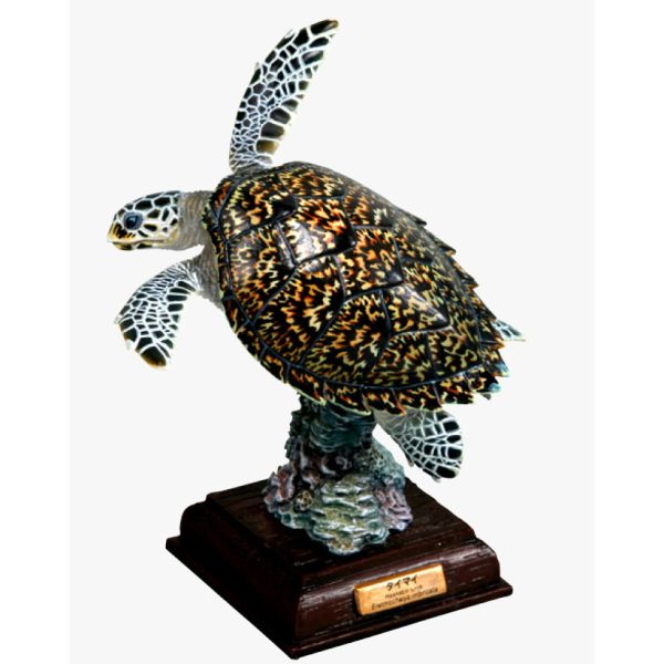 2A813『現貨』NTC圖鑑-日本烏龜 特裝版 IKIMON 扭蛋 轉蛋 