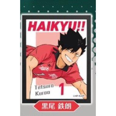 5A785『現貨』排球少年海報燈箱sideB  Standstones  扭蛋   轉蛋 