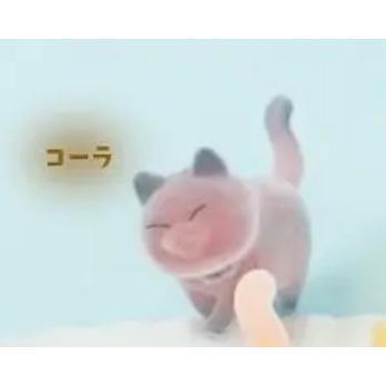 5A815『現貨』不要看喵 植絨篇   Bright link  扭蛋   轉蛋 