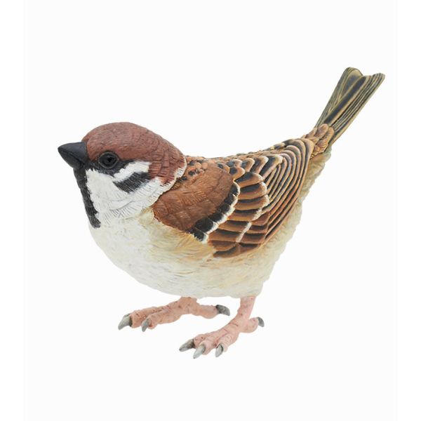 4A520『現貨』NOJ-日本的生物P3 IKIMON 扭蛋 轉蛋 