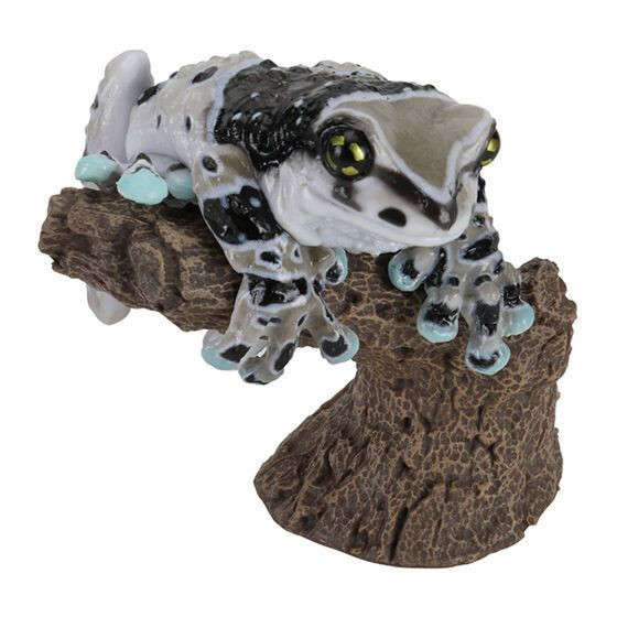 2A934『現貨』生物大圖鑑環指-日本雨蛙與牛奶樹蛙 BANDAI 扭蛋 轉蛋 