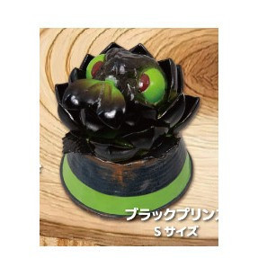 2A451『現貨』觀葉爬蟲類公仔 Qualia 扭蛋 轉蛋 