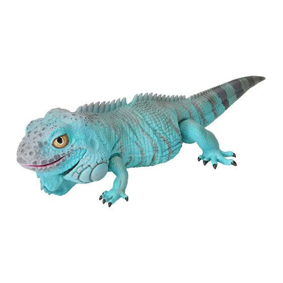 2A676『現貨』生物大圖鑑 美洲鬣蜥與睫角守宮 BANDAI 扭蛋 轉蛋 