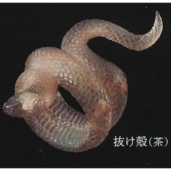 2A111『現貨』蛇輪 Standstones 扭蛋 轉蛋 