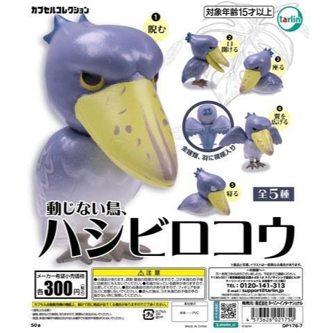 6A092『現貨』不為所動鯨頭鸛   Tarlin  扭蛋   轉蛋 