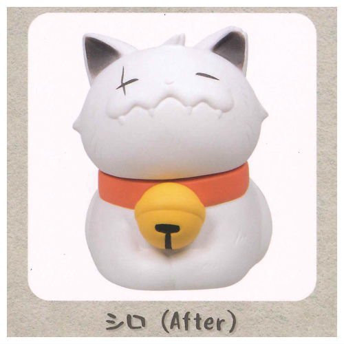 1A521『現貨』野良猫 Before and After Qualia 扭蛋 轉蛋 