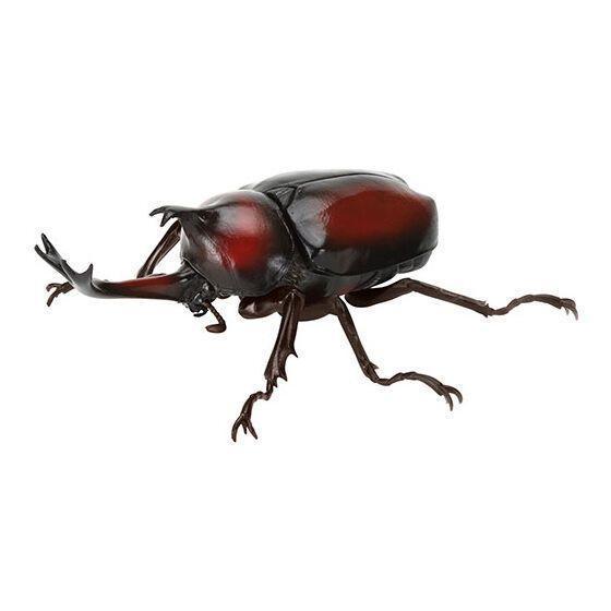 5A005『現貨』生物大圖鑑-獨角仙09  BANDAI 扭蛋   轉蛋 