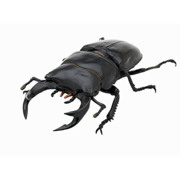 4A520『現貨』NOJ-日本的生物P3 IKIMON 扭蛋 轉蛋 