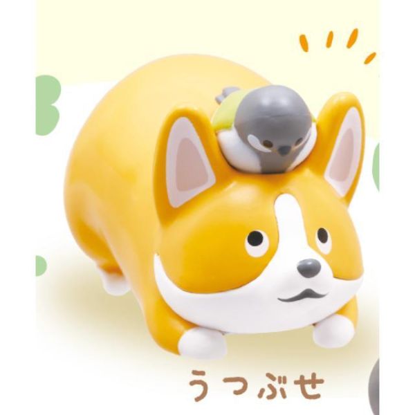 6A397『現貨』柯基滿滿公仔 柯基與四十雀  Qualia  扭蛋   轉蛋 