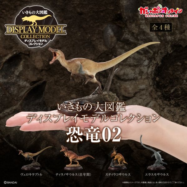 2A974『現貨』生物大圖鑑展示模型-恐龍P2 BANDAI Premium 扭蛋 轉蛋 
