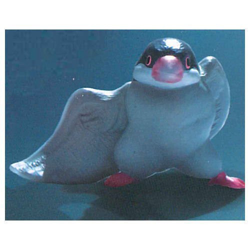 egb301『現貨』好舞鳥 YELL 扭蛋 轉蛋 