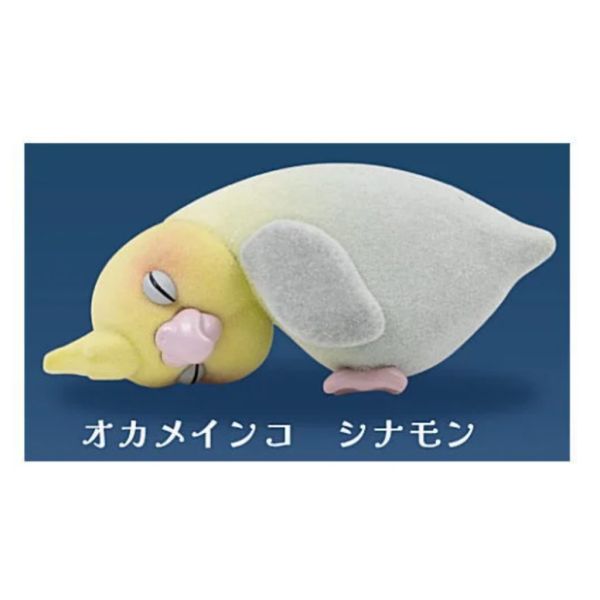 2A781『現貨』睡著了鸚鵡公仔 Qualia 扭蛋 轉蛋 