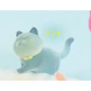 5A815『現貨』不要看喵 植絨篇   Bright link  扭蛋   轉蛋 